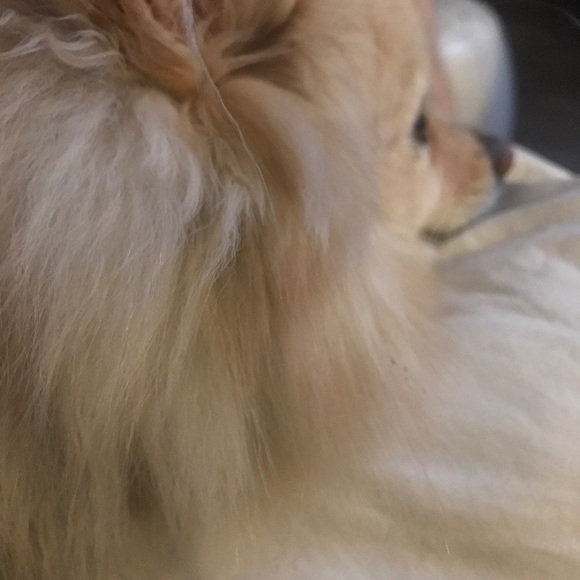 🔥 PRAY for the U.S. to get  healthier 🙏🇺🇸🌹☮️ - Picture 2 of 2